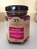 Jam (Strawberry Rhubarb 120ml)