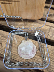 Jewelry Collection