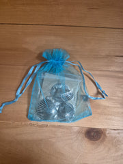 Sea Shell Memories Coin Bag